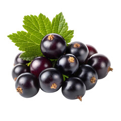 Fototapeta premium Bunch of Black Currants with Green Leaves Isolated on Transparent Background Keywords: blackcurrant, berries, fruit, food, fresh, healthy, sweet
