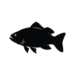 Monochrome Silhouette of a Generic Freshwater Fish with Dorsal Fin Visible, fish patrolling territory silhouette vector illustration