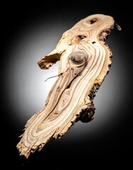 Abstract Wood Art - Natural Grain and Texture.
