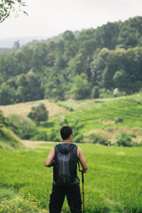 Adventurous traveler exploring lush green rural landscape with backpack and trekking poles amidst...