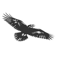 Majestic raptor soaring gracefully across the expansive sky, an iconic symbol of untamed freedom and formidable strength, rendered in a dynamic, high-contrast monochrome illustration