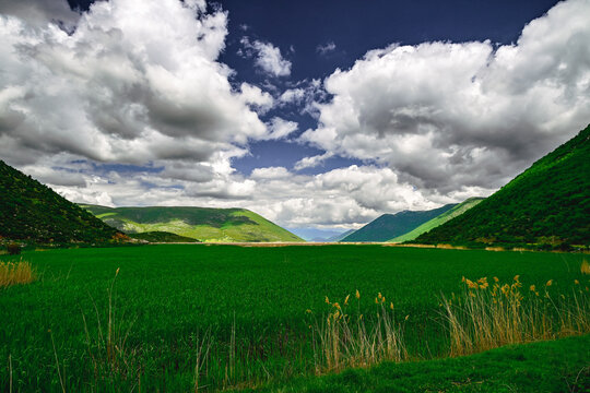 Reed zone at Small Prespa Lake in Albania // Schilfzone am Kleinen Prespa-See in Albanien 