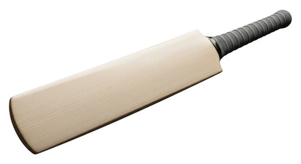 Professional cricket bat for serious players engaging in the sport of cricket