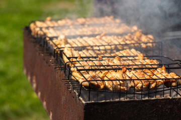Juicy, marinated chicken pieces grilling on a rack over hot coals, surrounded by smoke with a blurred green grass background on a sunny day