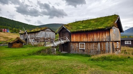Obraz premium Wooden timbered building with grass roof architecture in Norway