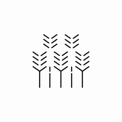 standing wheat crop icon sign vector