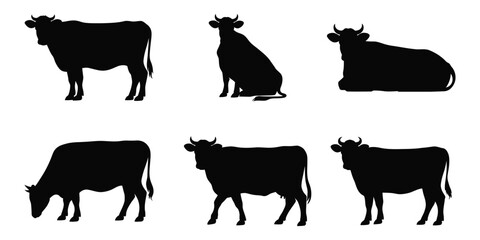 Black and White Cows in Different Poses