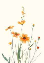orange flowers on white