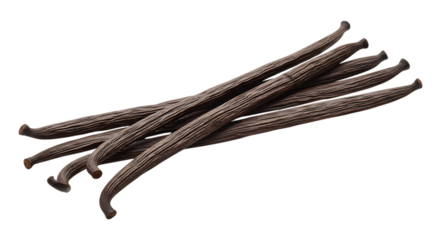 Bunch of dried vanilla beans with textured brown pods, isolated on white or transparent background. PNG