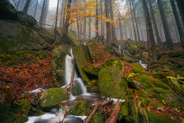 Fantasy and dark forest during a foggy morning with the best mystic atmosphere in the north of Bohemia, in Jizera mountains. View like from a fairy tale with pure water rivers and magic waterfalls.