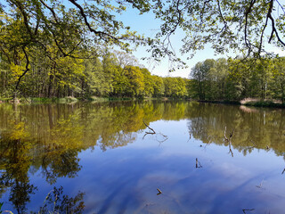 Serene lake reflects lush forest under sunny blue sky beautifully