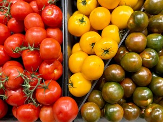 tomatoes in the market