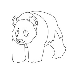 Panda minimalist illustration 