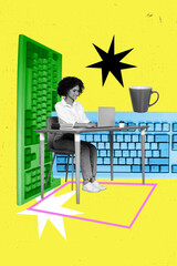 Trendy art vertical 3d photo collage of happy businesswoman surf laptop keypad programming...