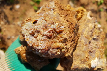 Chunky, raw chalcedony stone with captivating botryoidal texture on flint, gripped by a gloved hand. A natural mineral find, showcasing its unique form and earthy appeal