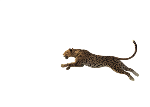 Leopard in mid air jump isolated on transparent background