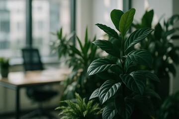 Obraz premium A cluster of lush green houseplants fills the foreground, providing a natural focus, with a blurred desk and chair visible through the large office window in the background.