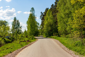 Paved country road winding through vibrant spring woods, bordered by lush green foliage and tall...