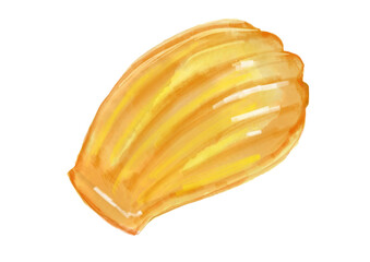 ふっくらとした焼きたての美味しそうなマドレーヌの手描き水彩イラスト(透過PNG)