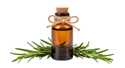 Amber glass bottle with cork and twine bow filled with essential oil surrounded by fresh rosemary sprigs isolated on a transparent background