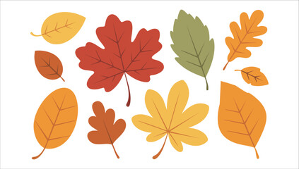 autumn leaves in various shapes and colors vector art isolated on white background