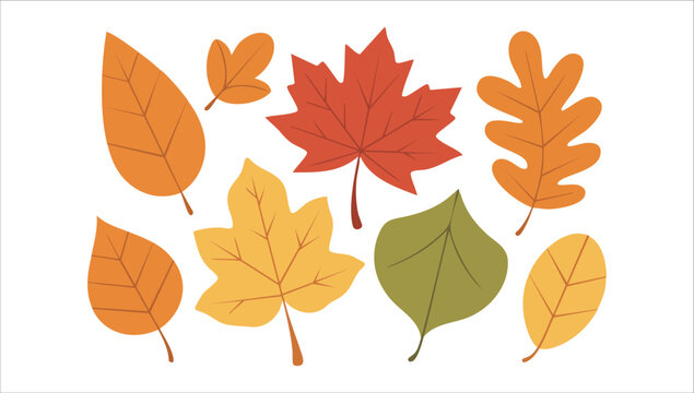 autumn leaves in various shapes and colors vector art isolated on white background