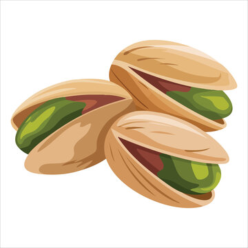 pistachios nuts green brown open clip art preview