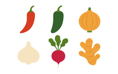 Colorful flat vegetables set: peppers, onion, garlic, radish, ginger illustration