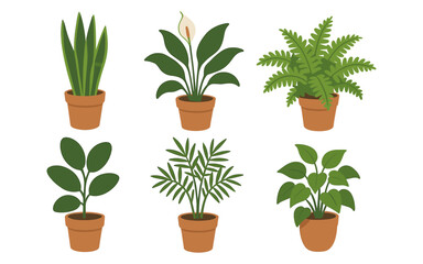 Fototapeta premium Assorted houseplants collection in terracotta pots