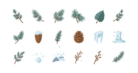 Winter nature elements collection: pine branches, cones, and snowy accents for seasonal design