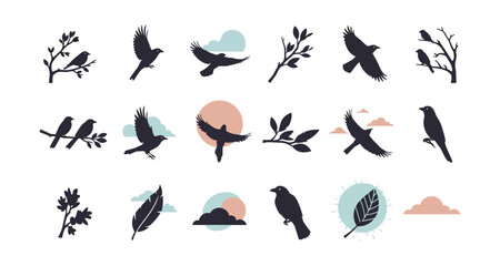 Bird silhouette collection with natural elements and soft color accents