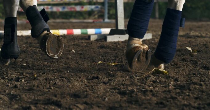 Slow Motion Close Up of Horse Hooves Kicking Up Sand in Equestrian Arena. Concept of Power, Precision and Grace in Motion at 1000 fps