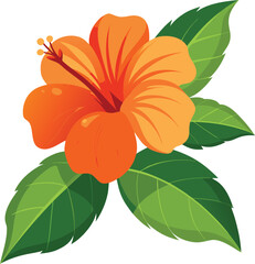 Vibrant orange hibiscus flower with green leaves illustration © Mofajjol