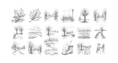 Hand drawn autumn landscapes and nature elements with trees and leaves