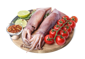 Fresh raw squids, tomatoes, lime slices and spices isolated on white