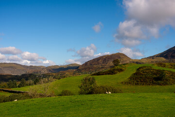 Fototapeta premium Green Rolling Hills and Mountains under Blue Sky in Snowdonia, Wales