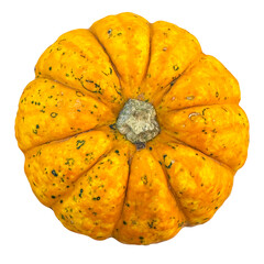 Orange Mini Pumpkin Isolated For Fall Decoration