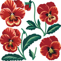 Vibrant red pansy flowers with green leaves on a white background