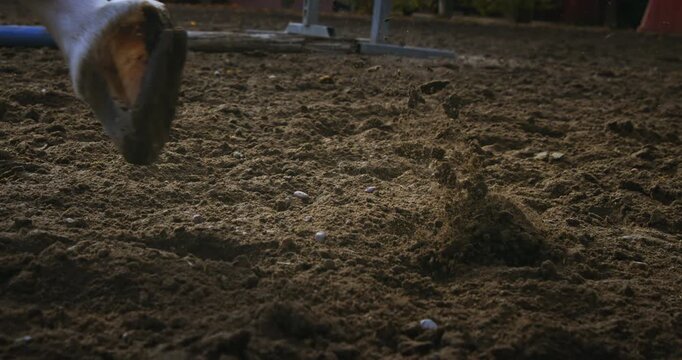 Slow Motion Macro of Horse Hooves Kicking Up Sand in Equestrian Arena. Concept of Power, Precision and Grace in Motion at 1000 fps