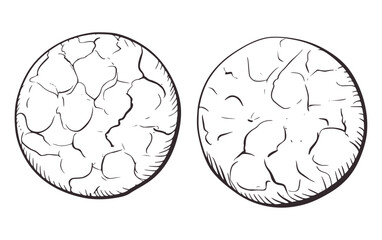 Two circular objects with textured surfaces black and white drawing