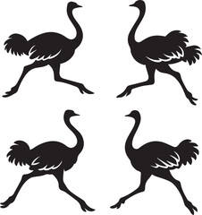 Set of Ostrich Silhouettes Vector on White Background | Black Flightless Bird Illustrations