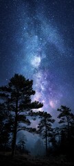 Fototapeta premium Stunning night sky with milky way galaxy above forest silhouettes