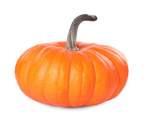 One whole ripe pumpkin isolated on white