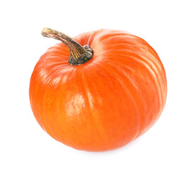 One whole ripe pumpkin isolated on white