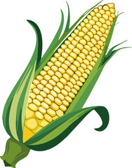 Vivid Corn on the Cob Vector Illustration, Fresh Yellow Corn with Green Husk, Isolated Farm Vegetable Art