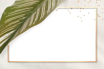 Gold calathea frame design element
