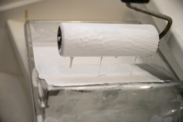 Obraz premium Paint Roller Loaded with White Paint in Tray
