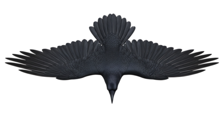 A black crow in flight, viewed from directly above, with wings spread wide, isolated on transparent background