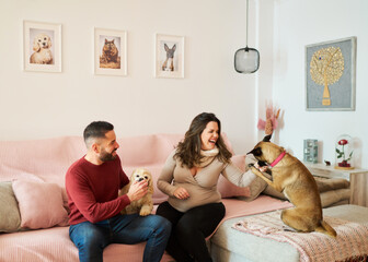 Expecting couple playing with dogs at home