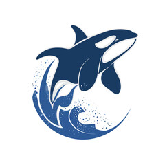 Fototapeta premium Stylized jumping orca whale vector illustration with waves and splashes, dynamic marine animal design element for logo or emblem